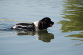 Enlarge photo 14