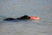 Water Training @ Castaic 8-23-10