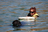 Enlarge photo 16