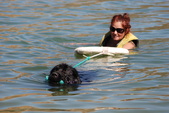 Enlarge photo 18