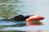 Enlarge photo 16