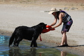 Enlarge photo 22