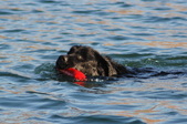 Enlarge photo 20