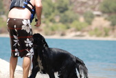 Enlarge photo 20