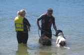 Water Training @ Castaic Lake