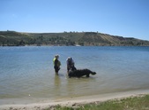 Enlarge photo 7