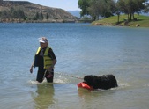 Enlarge photo 16