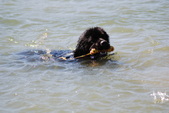Enlarge photo 17