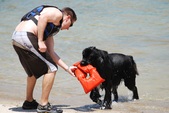 Enlarge photo 16
