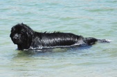 Enlarge photo 20