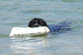Enlarge photo 23
