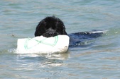 Enlarge photo 24