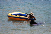 Water Training @ Castaic Lake 6-6-10 #1