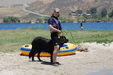 Water Training @ Castaic Lake 6-6-10 #2
