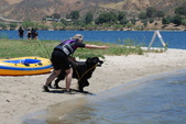 Enlarge photo 6