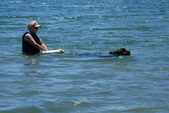 Enlarge photo 17