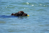 Enlarge photo 19