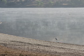 Water Training @ Castaic Lake 7-22-10