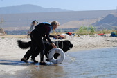 Enlarge photo 15