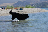 Enlarge photo 16