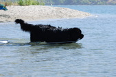 Enlarge photo 17