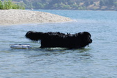 Enlarge photo 18