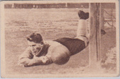 František Plánička 