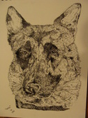 Enlarge photo 26