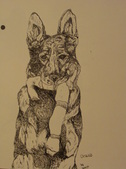 Enlarge photo 7