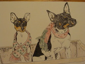 Enlarge photo 8