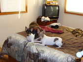 Enlarge photo 26