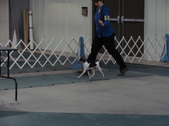 Enlarge photo 33