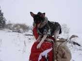 Enlarge photo 16