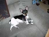 Enlarge photo 23