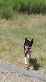 Enlarge photo 2
