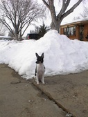 Enlarge photo 36