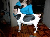 Enlarge photo 31