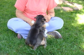 Enlarge photo 29