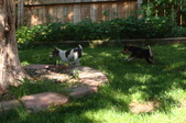 Enlarge photo 28