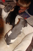 Enlarge photo 37