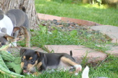 Enlarge photo 25