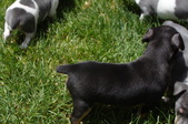 Enlarge photo 33