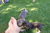 Enlarge photo 20