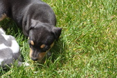 Enlarge photo 32