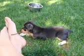 Enlarge photo 19