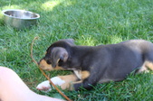 Enlarge photo 18