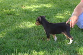 Enlarge photo 16