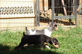 Enlarge photo 15