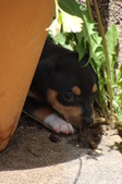 Enlarge photo 31