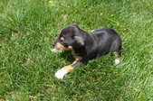 Enlarge photo 30